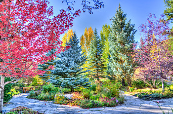 Nature, Park, r, Colorado, Weile, Vejle HD wallpaper