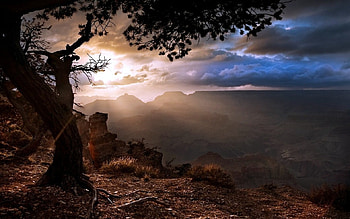 Landscape Background, landscape, nature, background HD wallpaper