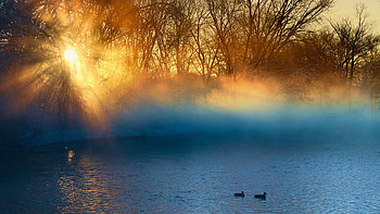 Spring vs. Winter, morning, lake, sunrise, ducks, fog, trees HD wallpaper