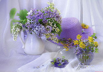 still life, flowers, abstract, graphy HD wallpaper