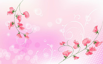 Pink-Simple-Light-Background HD wallpaper