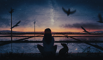 The Sunset And Solitary Flight Fly Together, anime-girl, anime, artist, artwork, digital-art, pixiv HD wallpaper