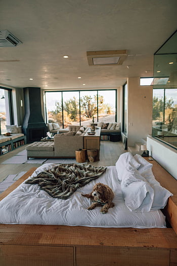 A contemporary Joshua Tree bedroom with plush bedding, stylish decor, and scenic views. HD phone wallpaper