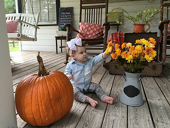 little girl, childhood, blonde, fair, nice, flower, adorable, bonny, Pumpkin, sweet, Belle, white, graphy, house, girl, comely, sightly, pretty, face, hair, lovely, home, pure, child, cute, baby, , set, Nexus, beauty, kid, feet, beautiful, people, little, pink, cool, dainty HD wallpaper