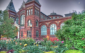 Cities, Flowers, Trees, Summer, Building, Style, r HD wallpaper
