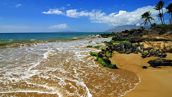 Nature, Trees, Sea, Sand, Surf HD wallpaper