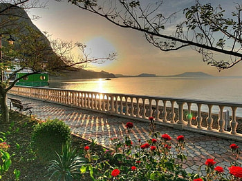 summer sunset, sea, seaside, summer, flowers, walk way, sunset HD wallpaper