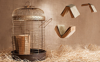 Futurist , futurist, books, cage HD wallpaper