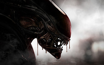 Alien , , movie, horror, suspend, Alien HD wallpaper