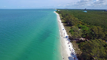 Naples, Florida, Tropical garden studio, Beach proximity HD wallpaper