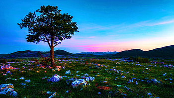 Velebit Mountain, Croatia, mediterranean, landscape, sky, tree, sunset HD wallpaper
