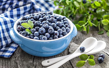 Fresh blueberries, Colorful and nutritious, Fruity , Superfood delight HD wallpaper