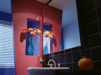 Flowers, Miscellanea, Miscellaneous, Vase, Bathroom, Mirror HD wallpaper