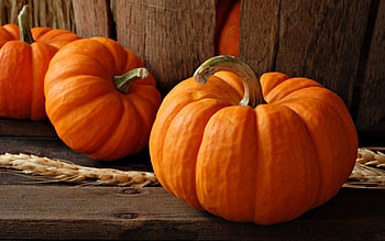 6 Reasons to Eat Pumpkin This Fall Season - And All Year! • Health Fitness Revolution HD wallpaper