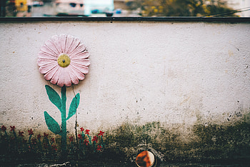 Art, Flower, Miscellanea, Miscellaneous, Wall HD wallpaper