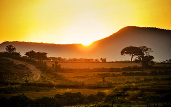 Karnataka, India, sky, sun, morning, landscape, trees, sunrise HD wallpaper
