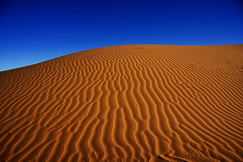 Desert, nature, sand, dunes, blue sky HD wallpaper