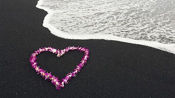 Landscape, Nature, Flowers, Sea, Love, Romance, Heart HD wallpaper