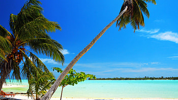 Cook Islands, Beach escape, Sandy shores, Coastal serenity HD wallpaper
