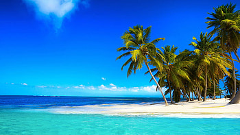 Landscape View Of Palm Trees Ocean Waves Beach Sand Under Blue Sky During Daytime Nature HD wallpaper