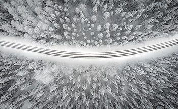 Winter Road , road, nature, winter HD wallpaper