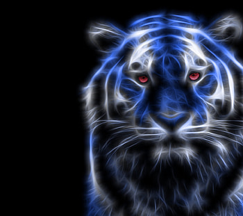 Blue Tiger, feline, wild, whiskers, tiger HD wallpaper