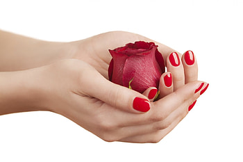 For You!, rose, white, nails, flower, red, woman, hand HD wallpaper