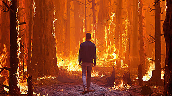 Walking In Forest Fire , alone, forest, fire, artist, artwork, digital-art HD wallpaper
