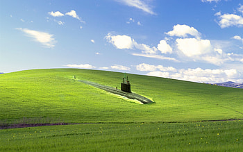 FTW! HD wallpaper
