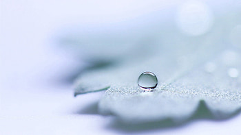 Lilac, Macro, Light, Light Coloured, Drop HD wallpaper