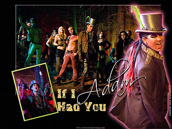 i love adam, loll, lol HD wallpaper