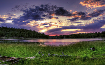 Sunset, colorful, colors, peaceful, beauty, reflection, trees, water, woods, landscape, beautiful, grass, lake, purple, pink, wood, green, view, clouds, nature, sky, lovely, forest, splendor HD wallpaper