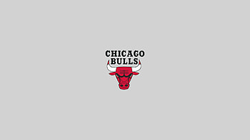 Chicago Bulls, basketball, logo, nba HD wallpaper