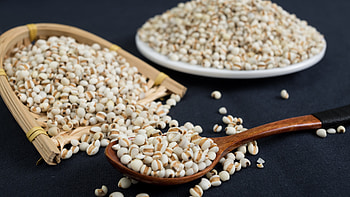 Barley, Grains HD wallpaper