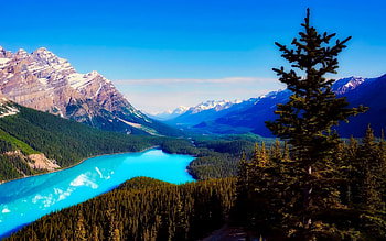 Peyto Lake, Banff, blue lake, mountains, summer, beautiful nature, Banff National Park, R, Canada, Alberta HD wallpaper