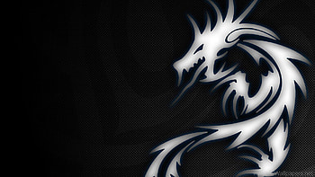 Dragon MSI Logo HD wallpaper