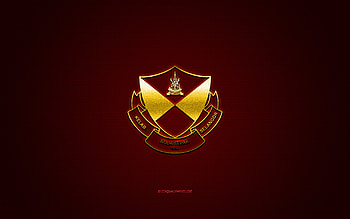 Selangor FC, Malaysian football club, gold logo, red carbon fiber background, Malaysia Super League, football, Selangor, Malaysia, Selangor FC logo HD wallpaper