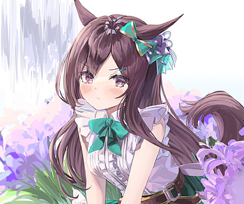 Mejiro Dober, Mejiro Dober, Anime, Uma Musume: Pretty Derby HD wallpaper