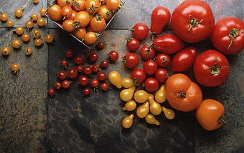 Tomato , Captivating , Striking , Visual appeal HD wallpaper