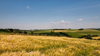 Get the latest grass, field, open spaces news, and videos and learn all about grass, field, open spaces from 4u.org, your news ... HD wallpaper