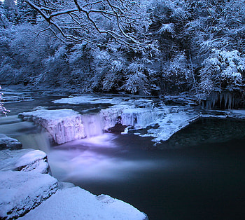 Winter lake, winter, blue, season, snow, lake, tree HD wallpaper