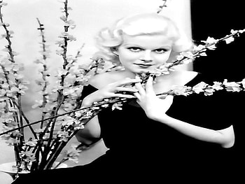 Roaring 20's, no eyebrows, actress, wtf, beauty HD wallpaper
