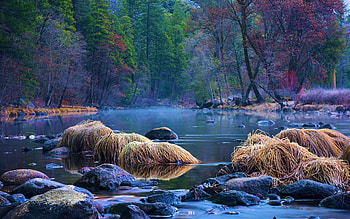 Yosemite Valley, California, trees, water, rocks, usa, stones HD wallpaper