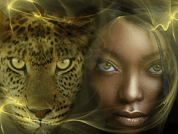 Leopard, animal, looks, pretty, beautiful, people, she, woman, female HD wallpaper