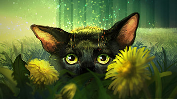 :), black, eyes, cat, grayfox windmill, pisici, fantasy, flower, yellow, luminos HD wallpaper