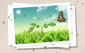 Vector, Butterfly, Clipart, card, graph HD wallpaper
