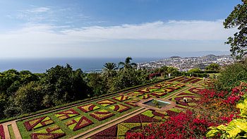 Madeira Travels, Botanical garden, Funchal retreat, Portuguese paradise HD wallpaper