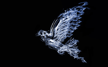 dove from smoke, bird from smoke, black background, smoke art, dove silhouette smoke, dove HD wallpaper