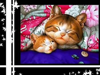 Funny kittens, sweet, kitten, cub, baby, mother, cat, funny HD wallpaper