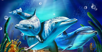 Porpoise Paradise | Azure Porpoise Dream | Porpoise Reef | Deep Blue Porpoises HD wallpaper
